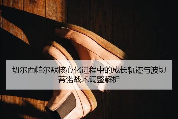 切尔西帕尔默核心化进程中的成长轨迹与波切蒂诺战术调整解析