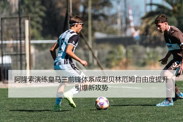 img_1783782187868_1357_1_149.jpg